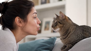 Veterinario explica por qué la voz de bebé funciona mejor con los gatos