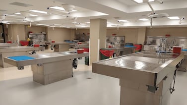 Norma presupuestaria creada por el Poder Ejecutivo amenaza con frenar morgue judicial en Puntarenas