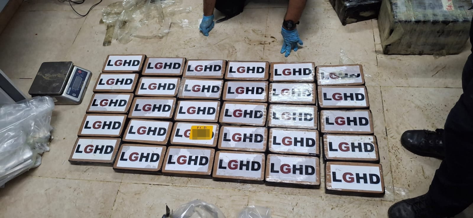 La PCD decomisó 309 paquetes de cocaína en una avioneta estrellada en Laguan Peje Perro, en Carate de Puerto Jimémez.