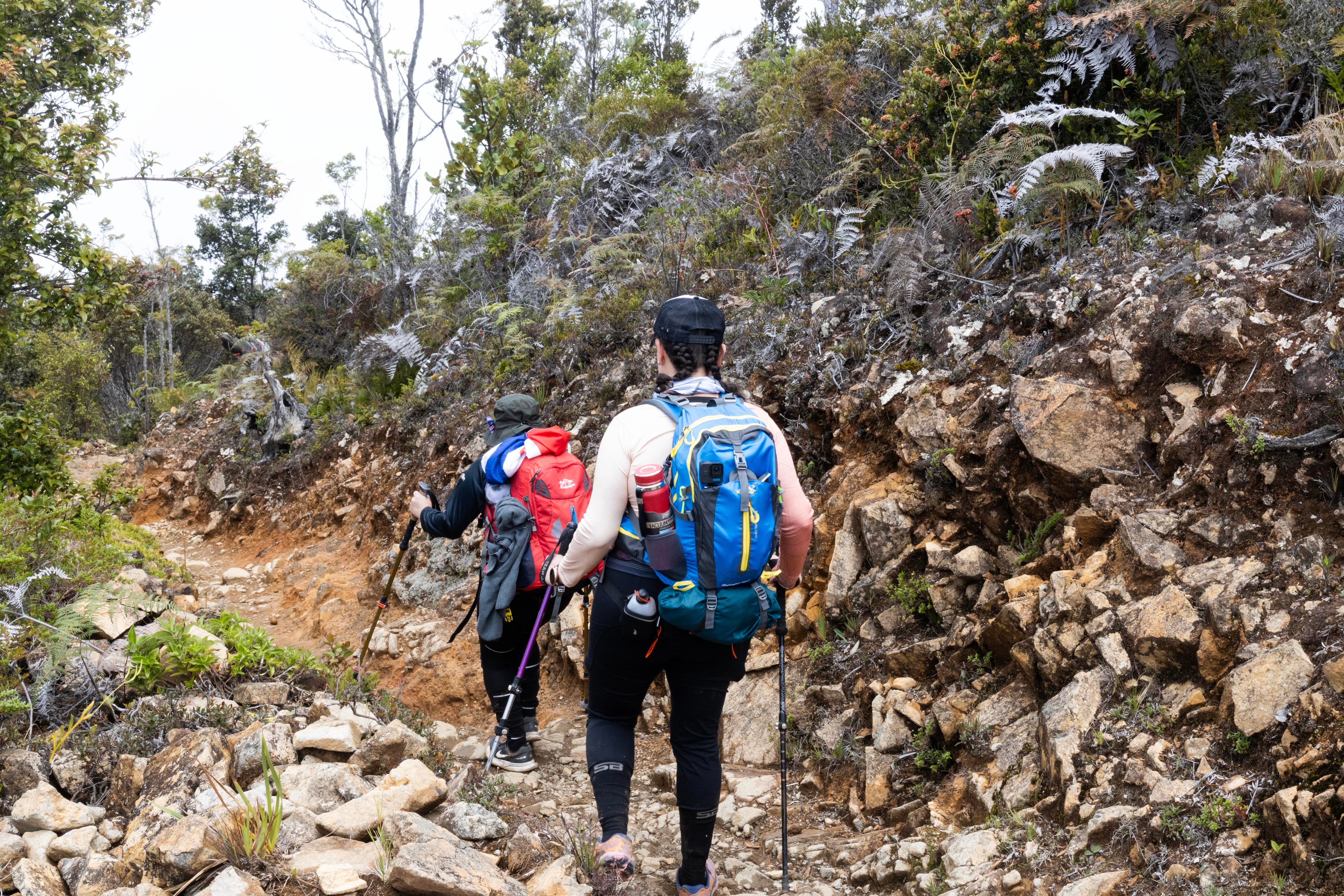 Parque Nacional Chirripo 50 años