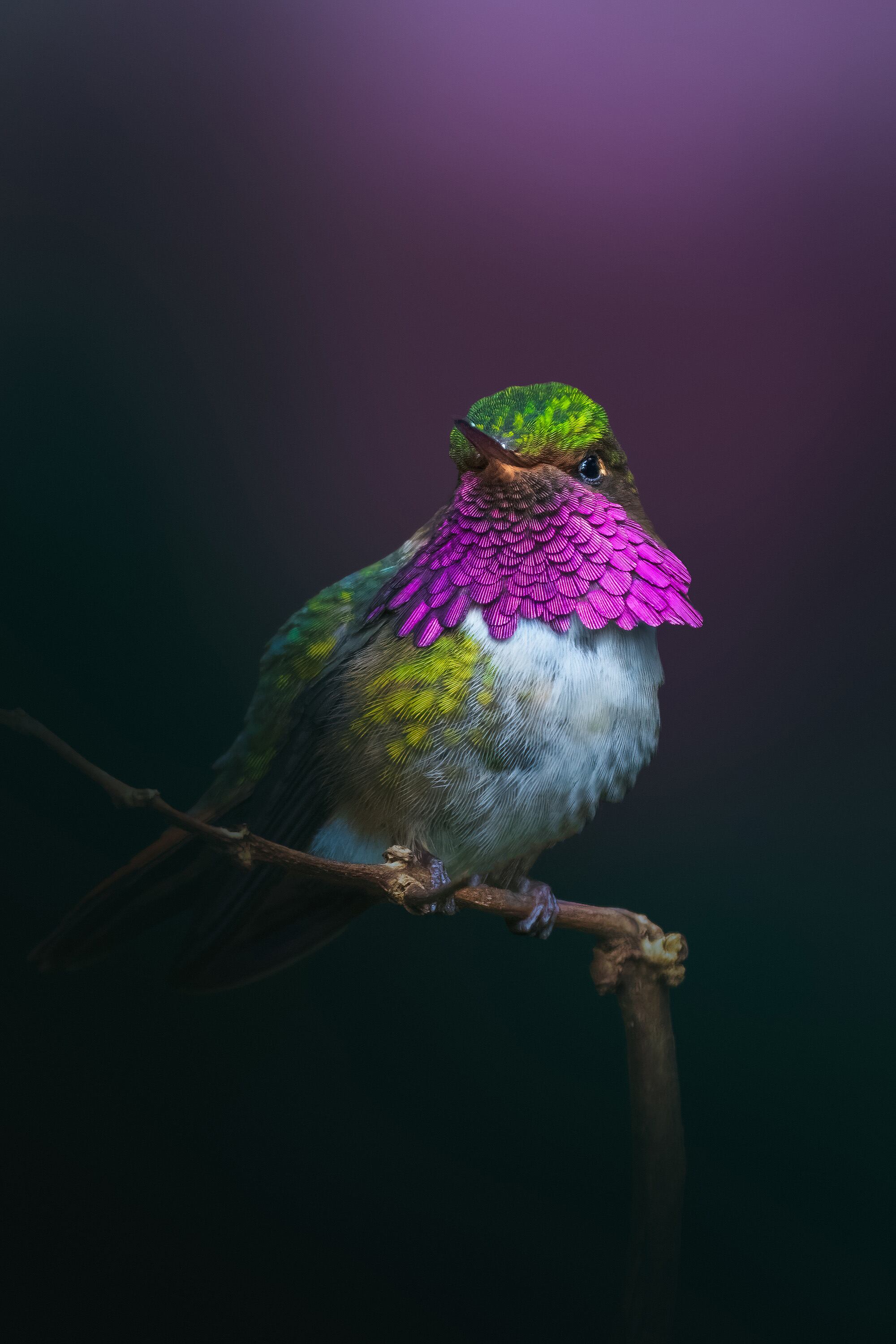 Cada expedición es una oportunidad para explorar nuevos horizontes y conectar con la esencia del mundo natural.