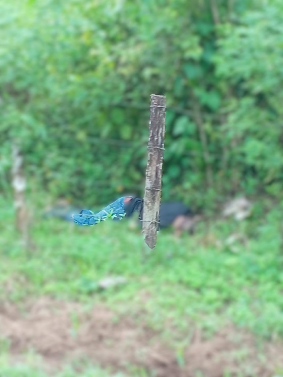 Doble homicidio en Los Chiles.