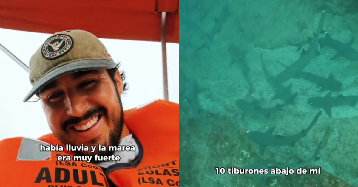 El creador de contenido Patricio Ramírez compartió con sus millones de seguidores un video grabado en Isla del Caño, Costa Rica, donde nadó junto a tiburones, tortugas y mantarrayas.