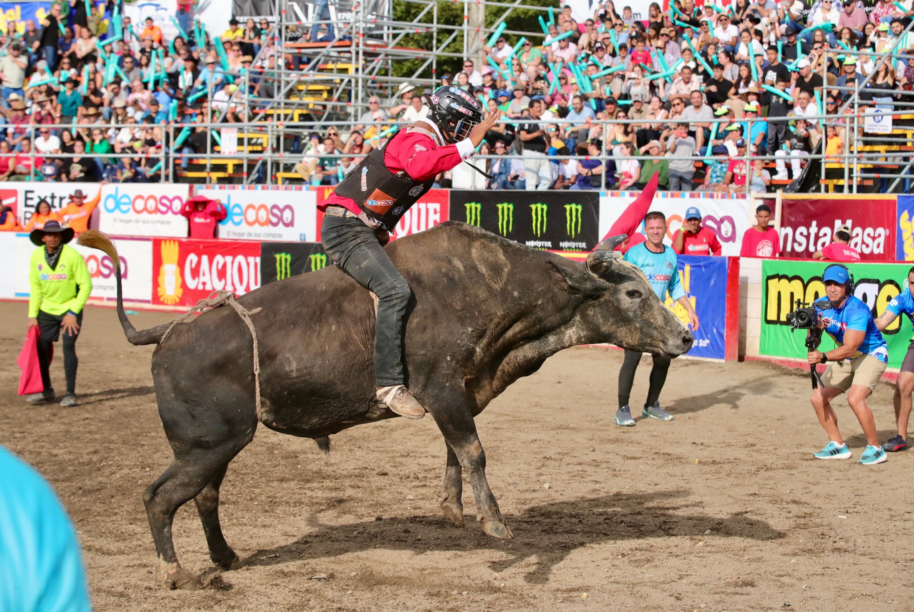 Imagen de un mopntador sobre los lomos de un toro en la corrida en Pedregal este 2 de enero de 2025.