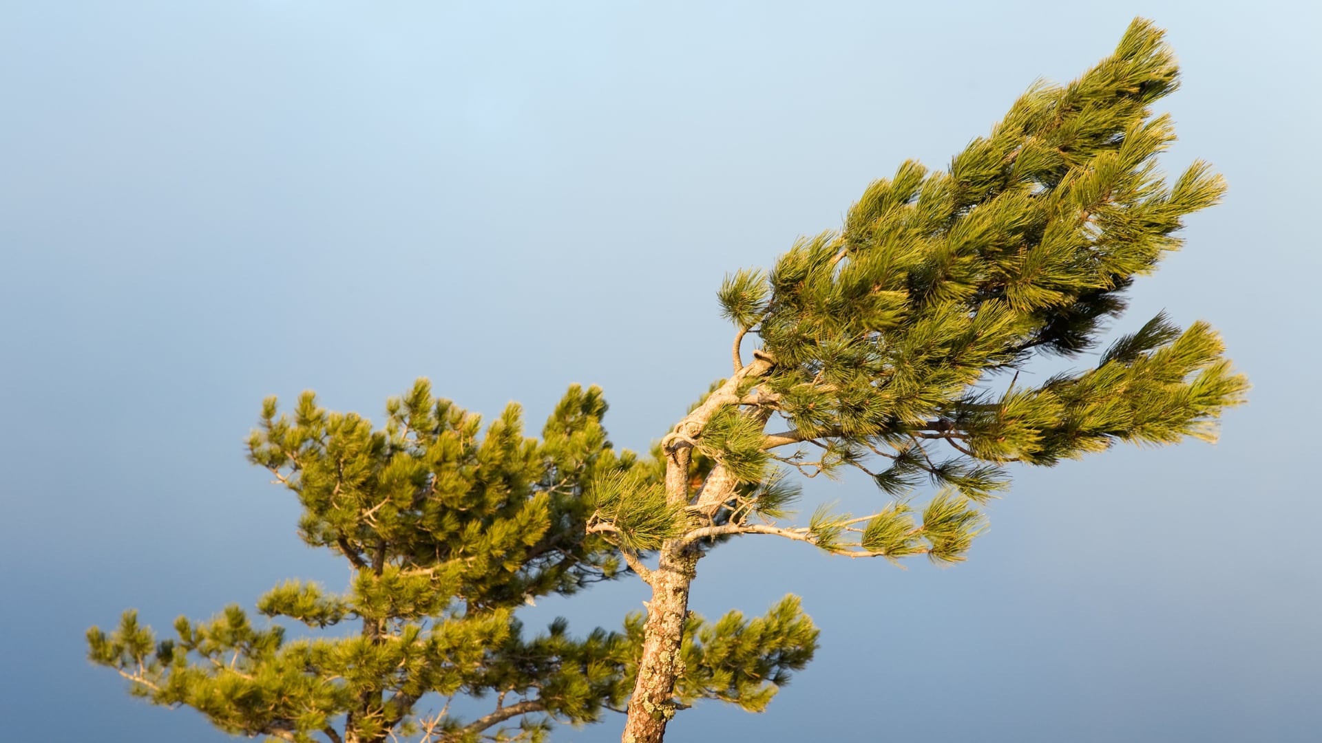El empuje frío aumentará la velocidad del viento en el norte y centro de Costa Rica, con temperaturas elevadas y posibles lluvias en el Pacífico Sur.