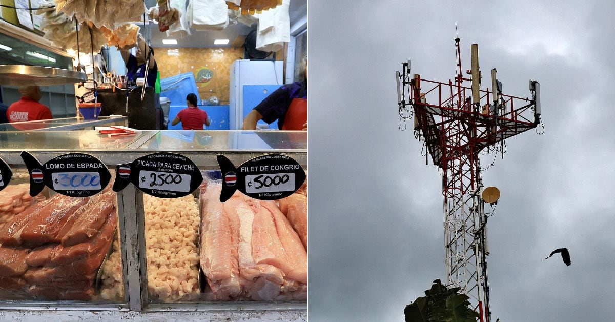 En la imagen pescado y telecomunicaciones