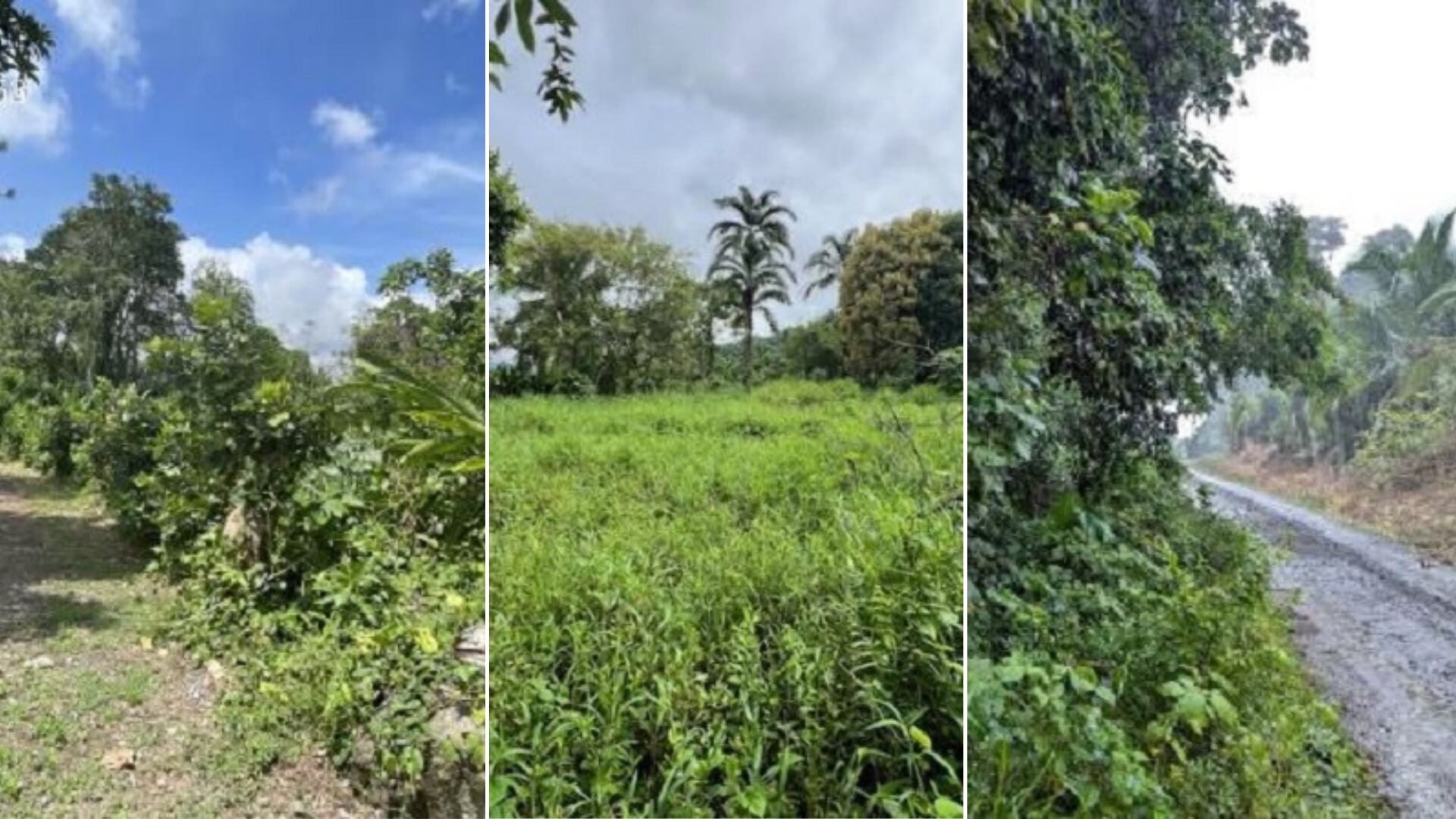 Vista de tres de los lotes en remate por el Banco Popular, con descuentos del 65%.
