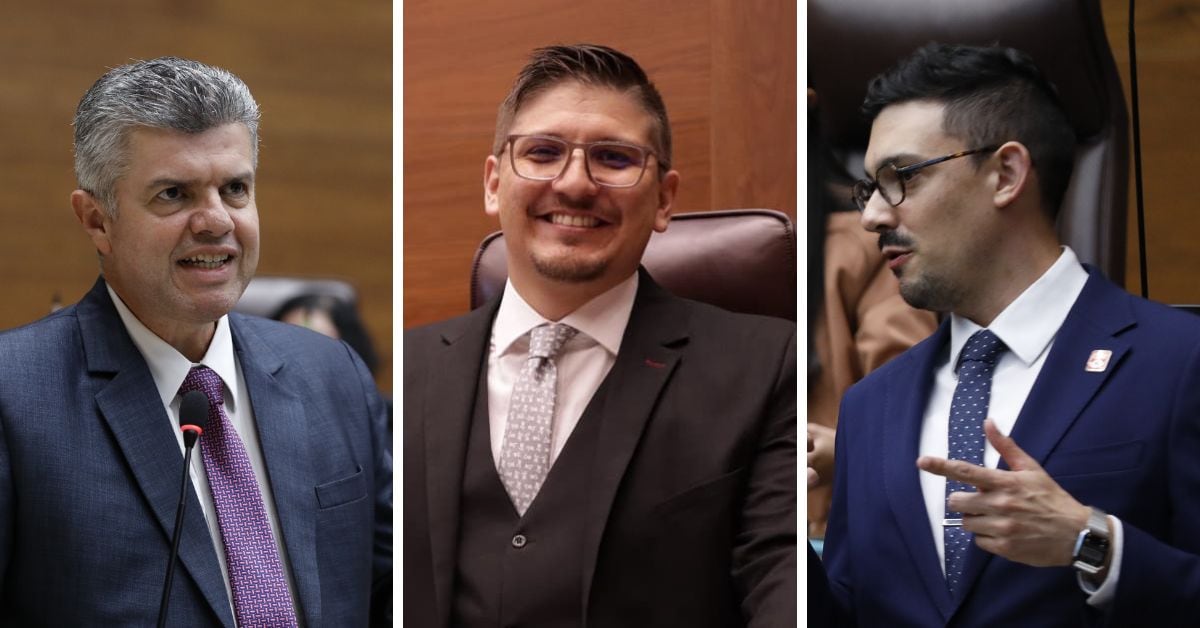 Diputados Libertad de prensa PLN FA