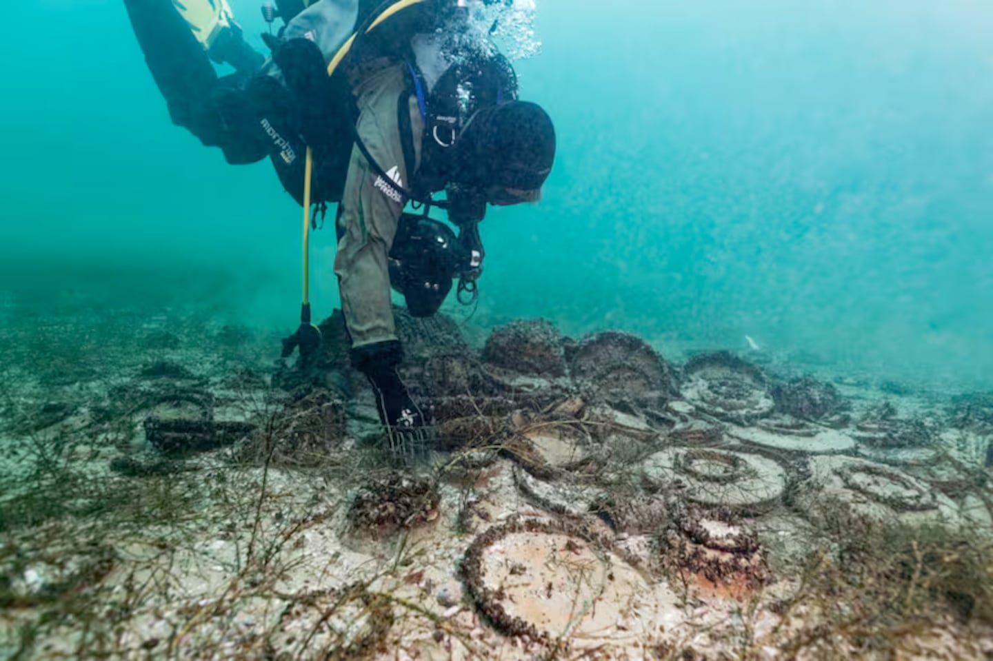 Hallazgo en Suiza revela cargamento intacto de aceite ibérico del Imperio Romano tras 2.000 años