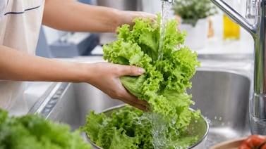 8 errores que dañan la lechuga y aumentan el riesgo de contaminación en su cocina
