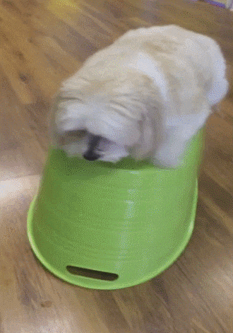 Explicador - Sismos e IVA