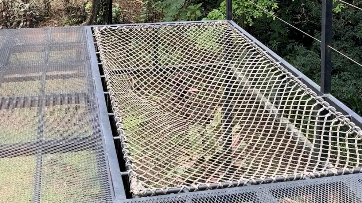 La naturaleza es la que hace que el lugar sea más hermoso aún.