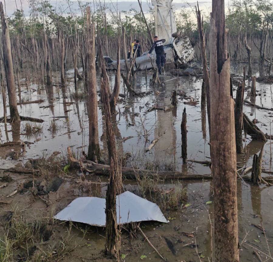 La PCD decomisó 309 paquetes de cocaína en una avioneta estrellada en Laguan Peje Perro, en Carate de Puerto Jimémez.