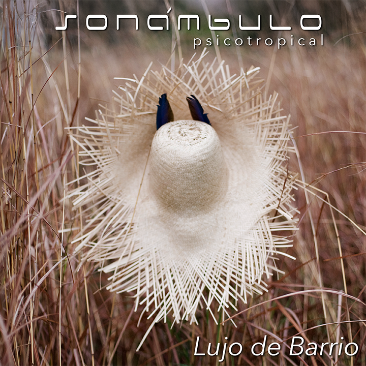 Sonámbulo música costarricense Lujo de barrio