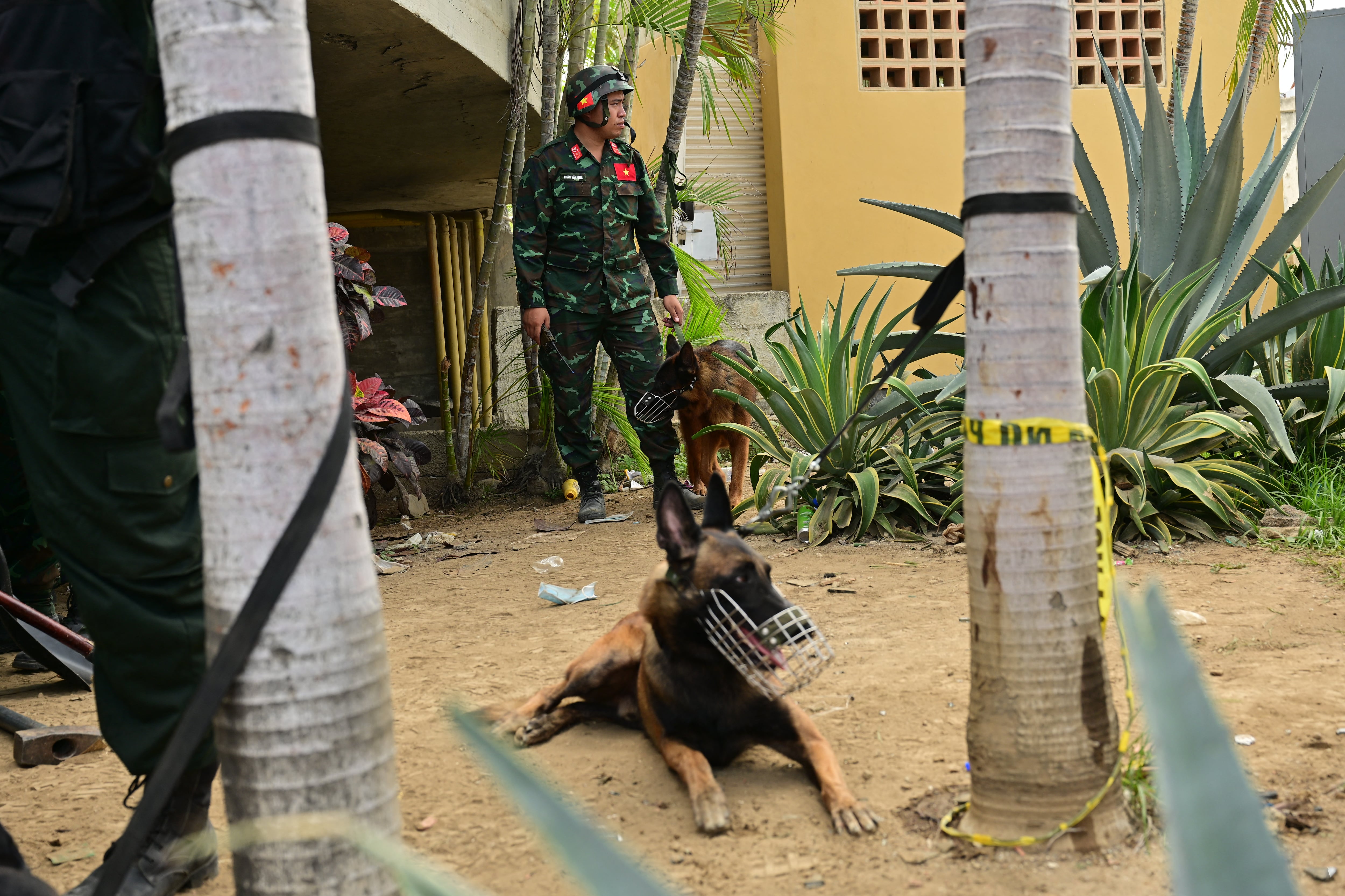 Un soldado vietnamita permanece junto a perros rescatistas mientras esperan para reanudar las labores de búsqueda en Catia La Mar, estado La Guaira, Venezuela, el 5 de julio de 2026, tras los dos terremotos del 24 de junio.