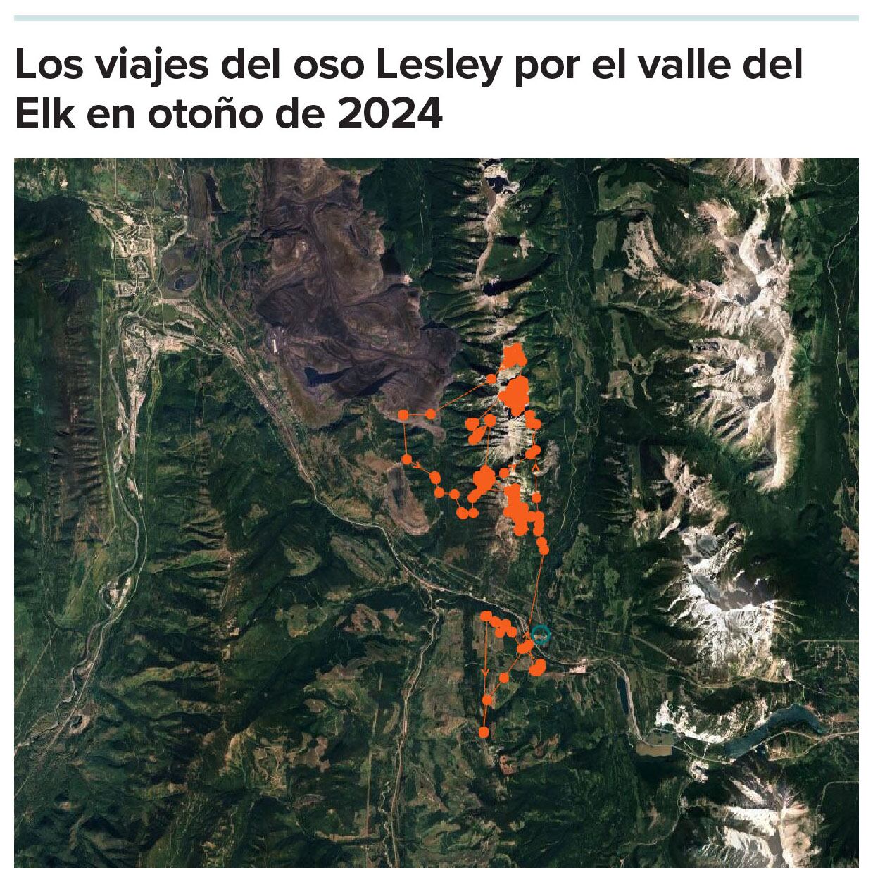 Un mapa del viaje del oso Lesley.