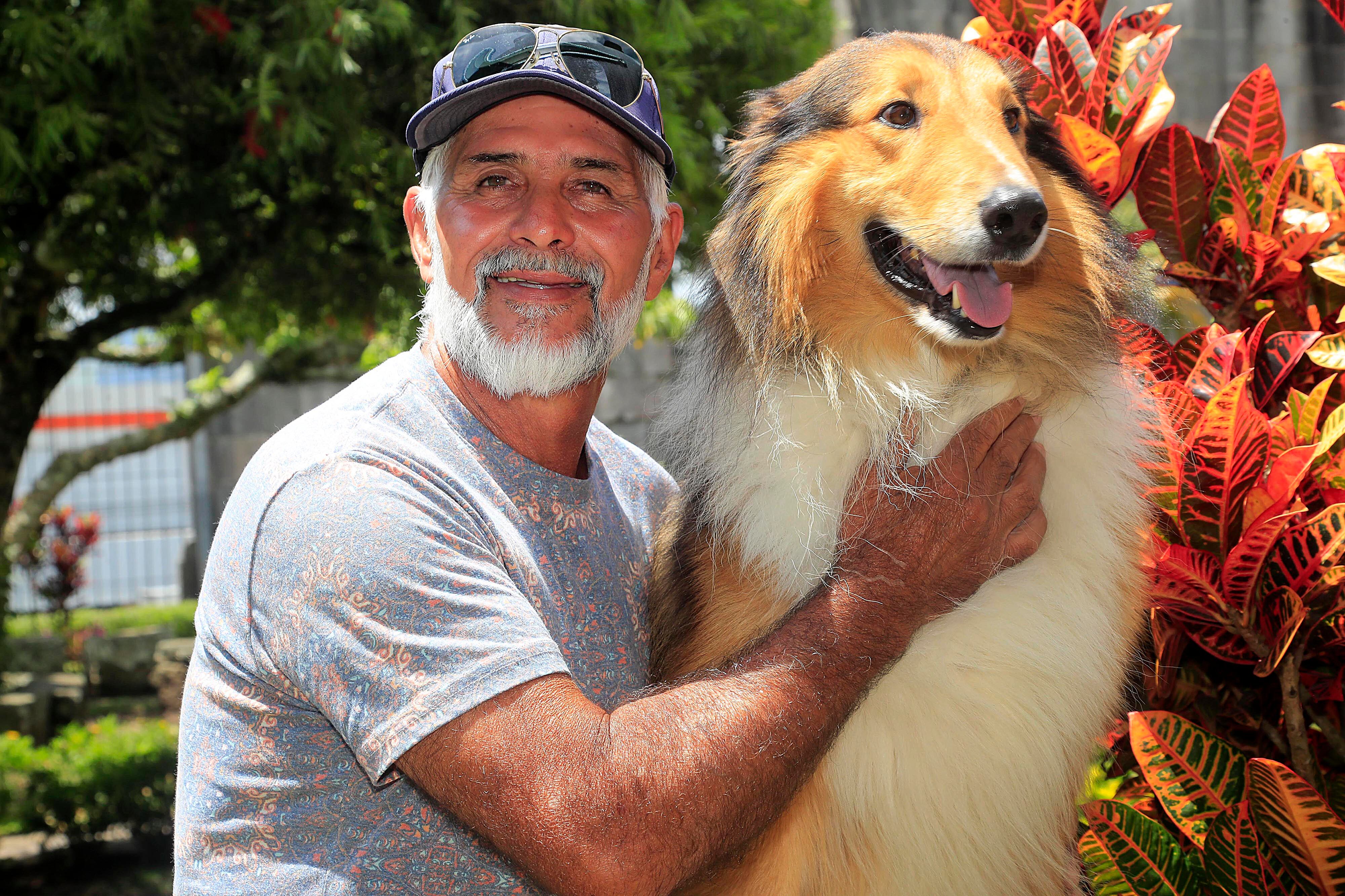 18/09/2023 Cartago. Theo es un perro de la raza collie de pelo largo, dócil y amigable, entrenado para subirse en mojones, ventanas y maceteras y quedarse ahí tan quieto como para posar con niños y adultos, e incluso dejarse acariciar por cualquier persona, como lo demostró este viernes al frente y en los jardines internos de las Ruinas de Santiago Apóstol.