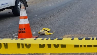 Hombre de 34 años es asesinado a balazos en centro de San José