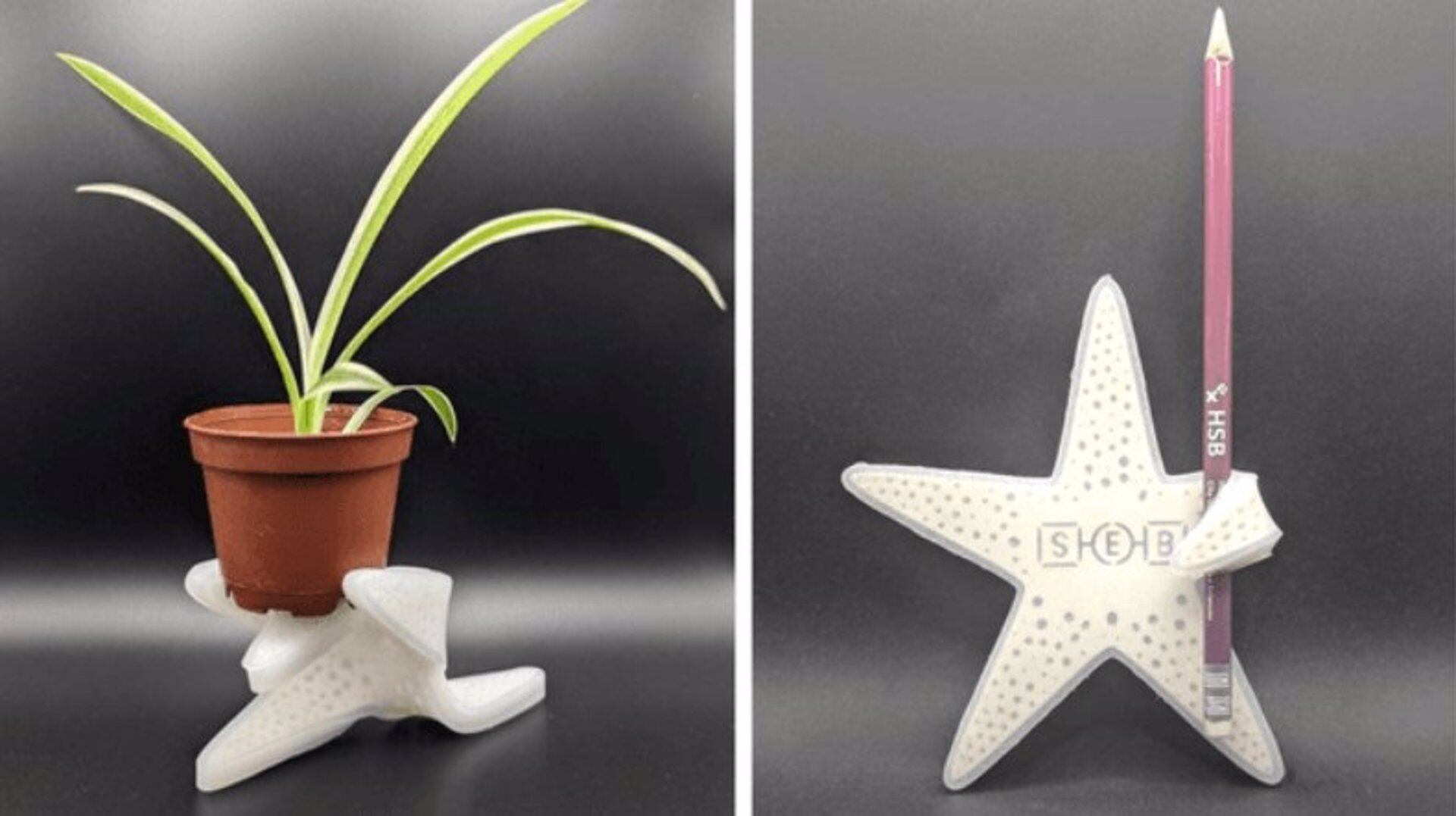 Estructura inspirada en estrella de mar promete avances en robótica, aviación y tecnología médica.