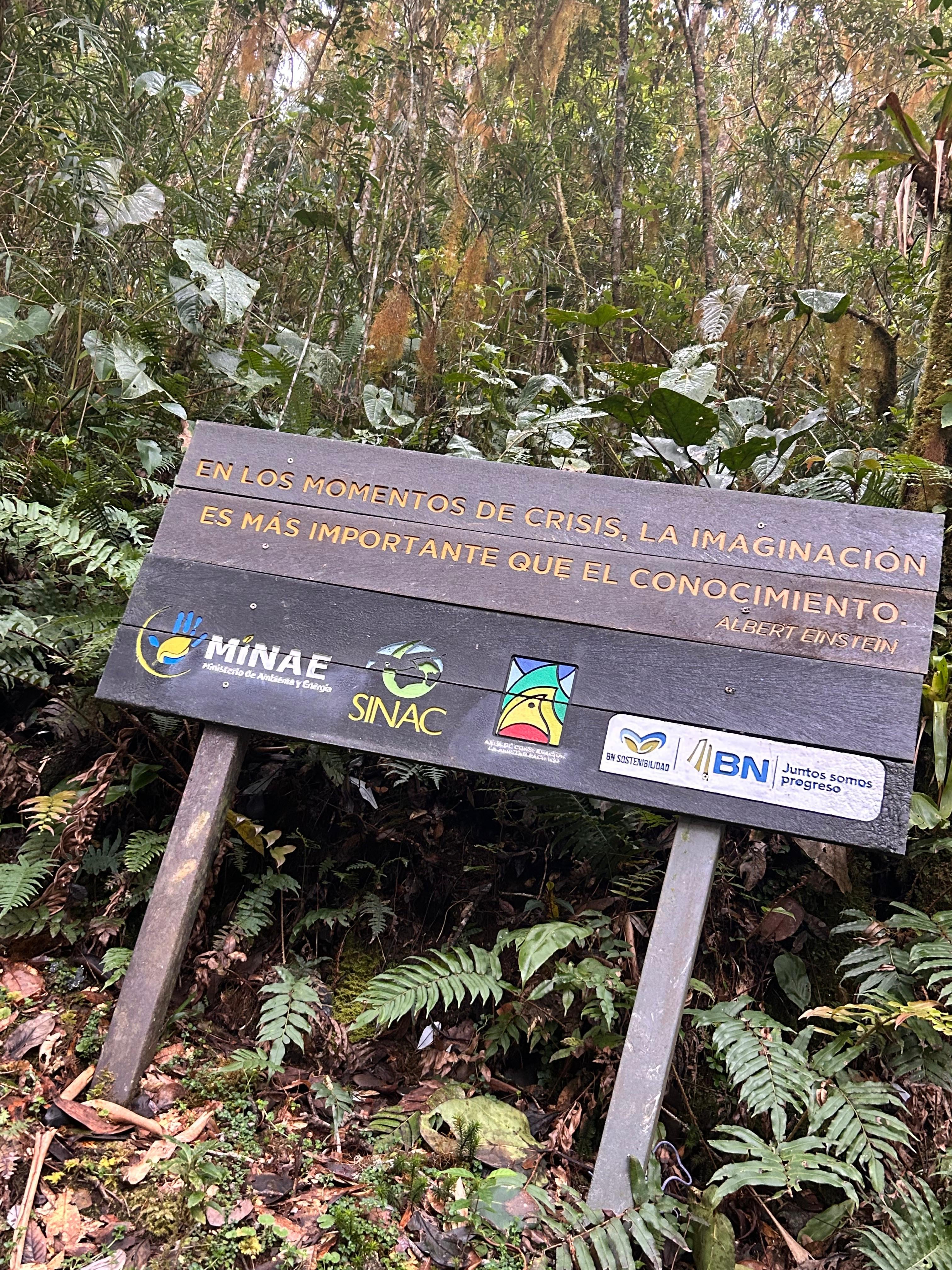 Las frases en el sendero llegan justo cuando el cansancio aprieta y solo dan ganas de parar.