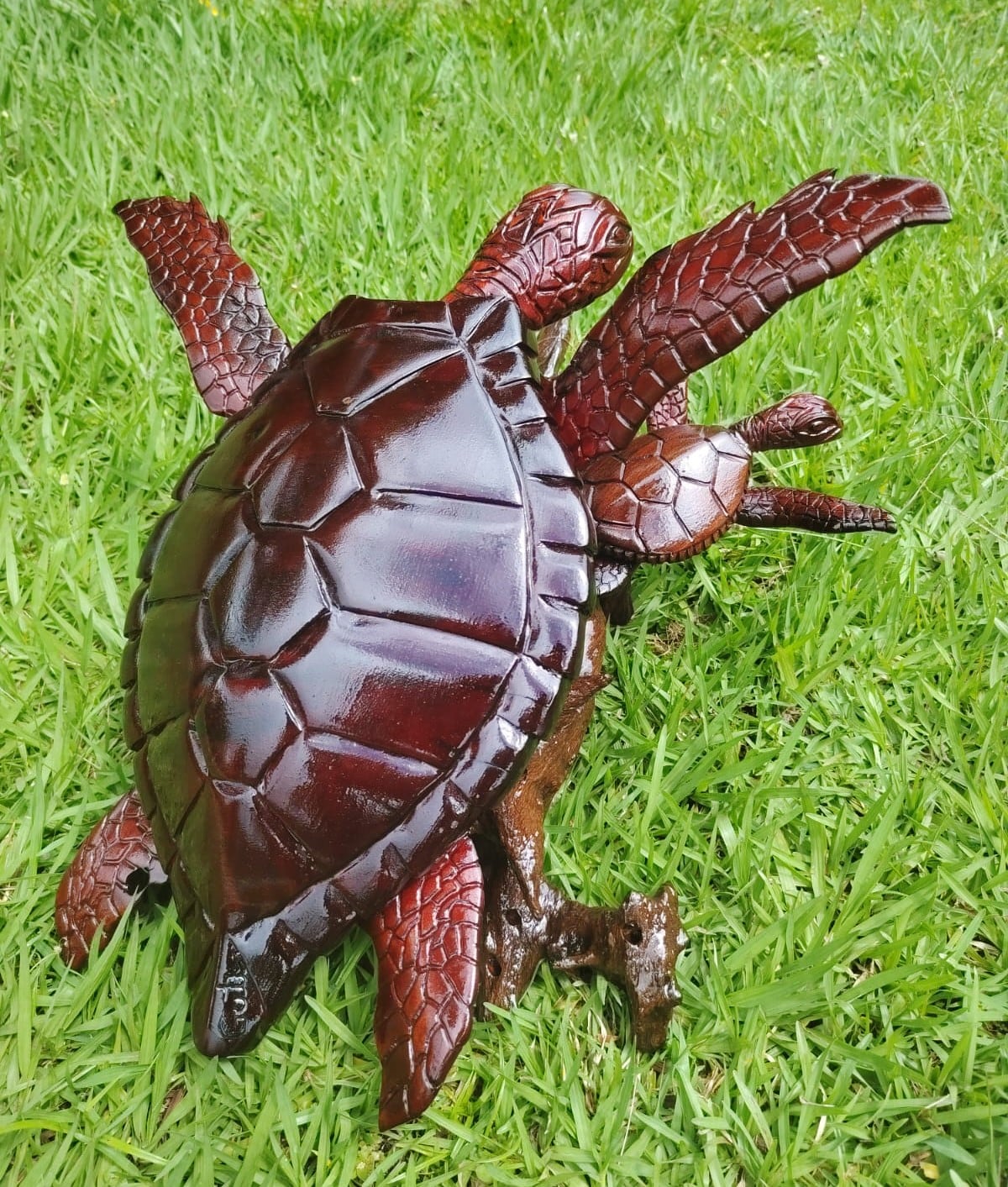 Esta tortuga es una de las obras que más enorgullece a Serrano, en especial por su complejidad y la cantidad de horas de trabajo invertidas.