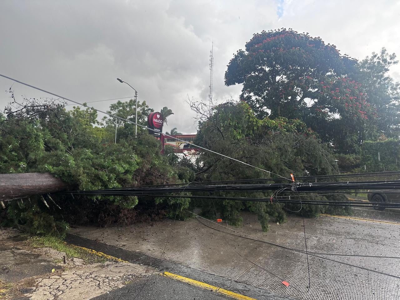 La caída de un poste cerca del motel Paraíso en San Francisco dejó sin luz todo el sector y se tarda al menos ocho horas en reparar los daños. Foto: Cortesía CNFL.