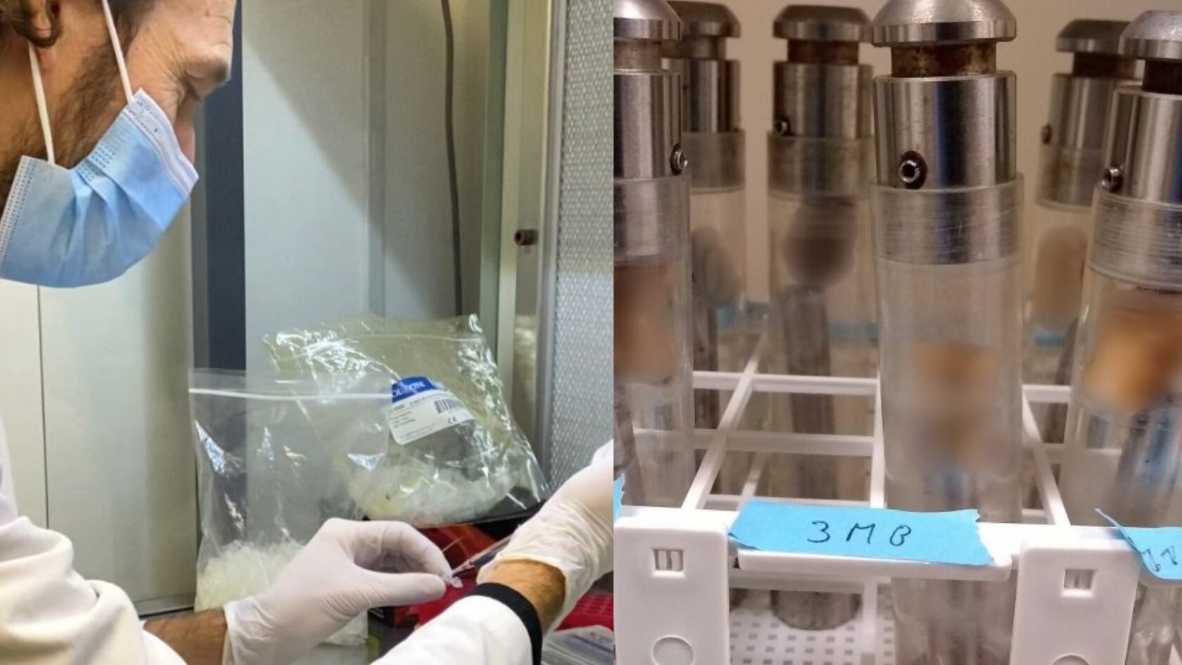 ADN antiguo revela una población que vivió aislada en Argentina por 8.500 años y cambia lo que se sabe sobre las migraciones en América.