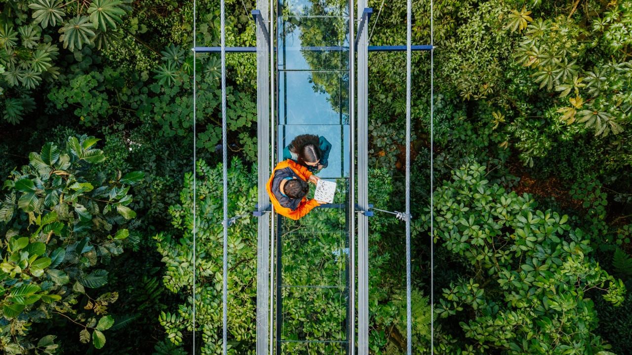El primer puente colgante de vidrio de Costa Rica, ubicado en Monteverde.