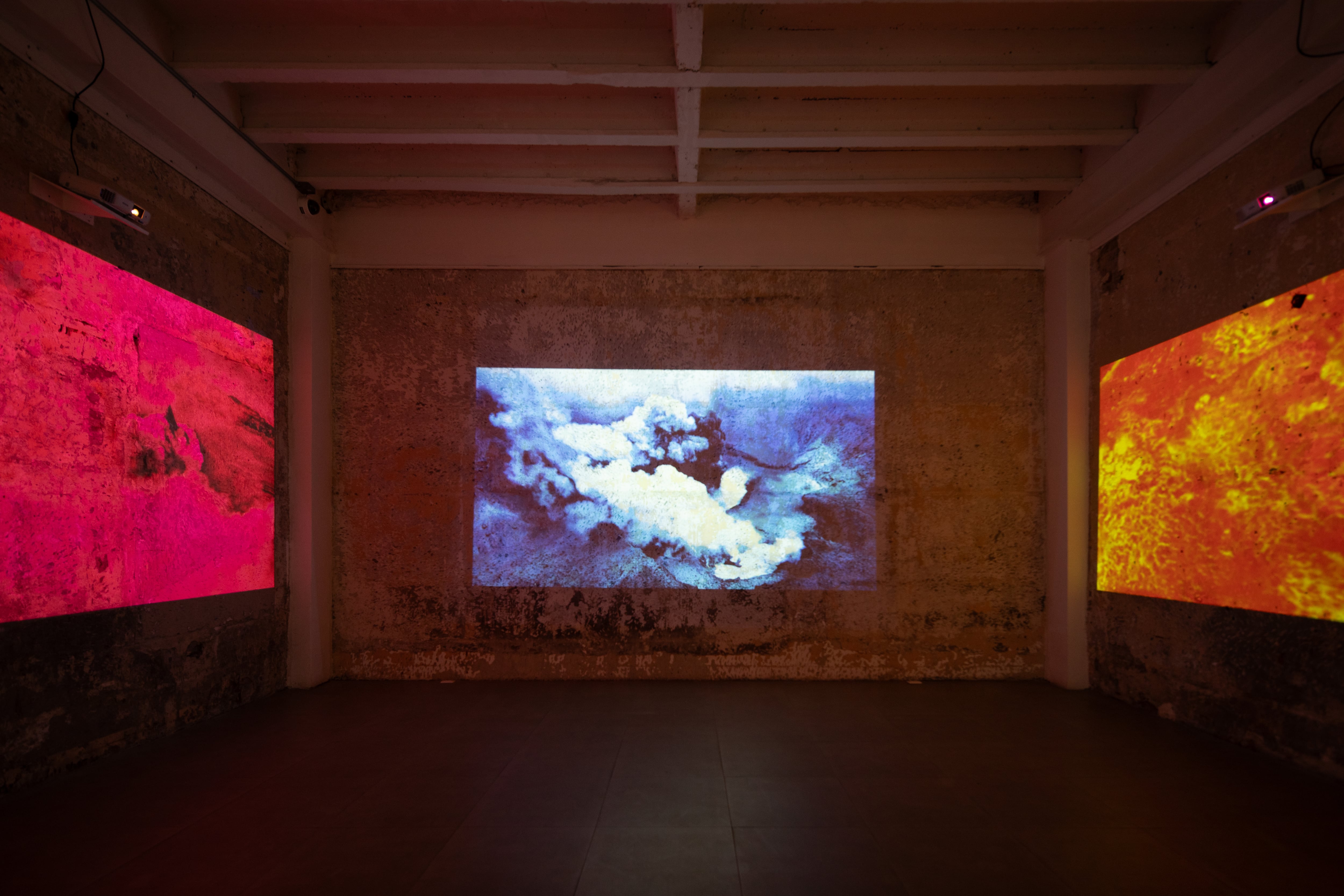 Vista de la exposición 'En las entrañas del ser habita la tierra', de Roberto Carter y Pável Quevedo, en el Museo de Arte y Diseño Contemporáneo.