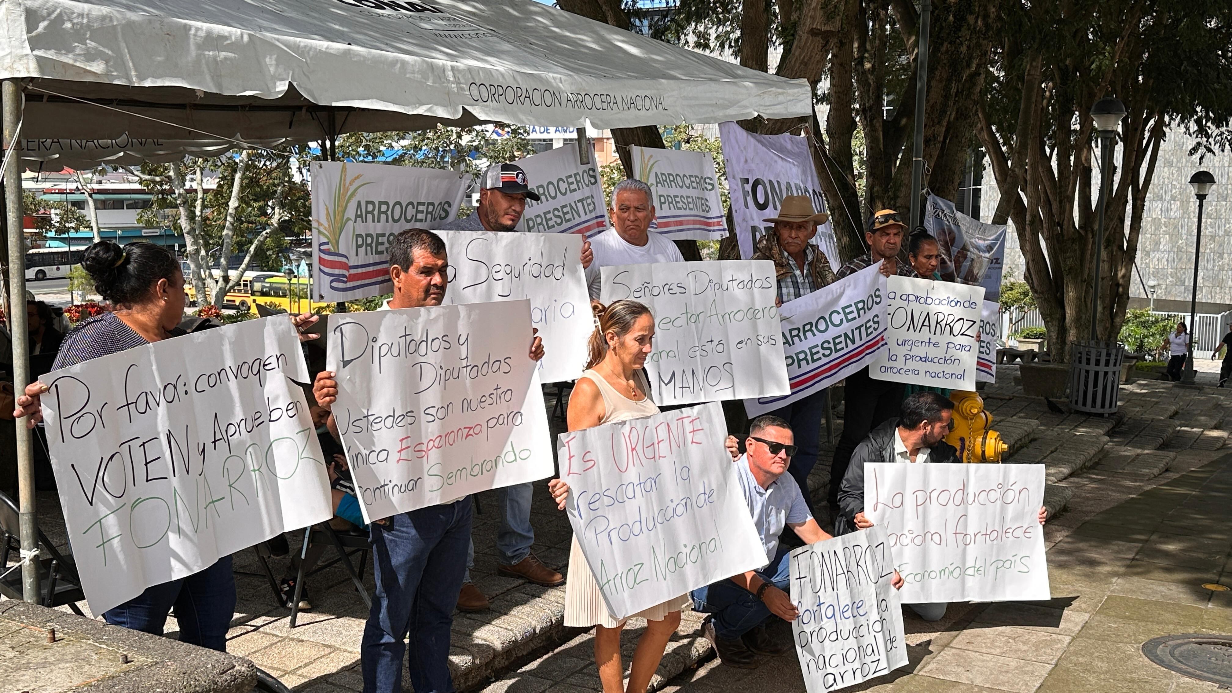 Un grupo de arroceros con carteles frente al edificio de la Asamblea Legislativa.