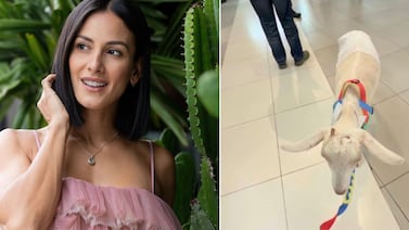 Esto dice Mall Oxígeno sobre la expulsión de Johanna Solano y su cabrito del centro comercial