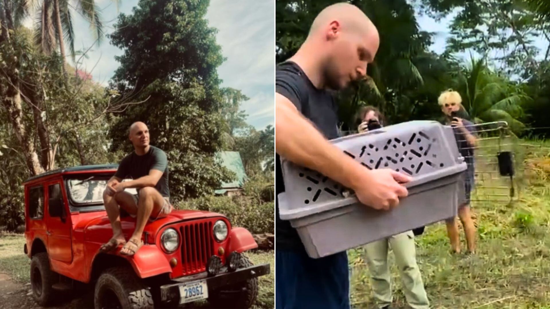 Veterinario español