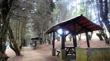 Vacaciones más allá de La Sabana y el Parque de la Paz: otras opciones al aire libre y a bajo costo