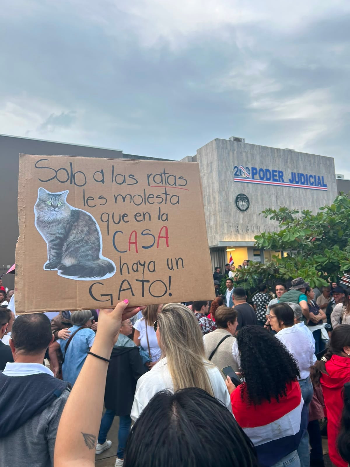 Poder Judicial