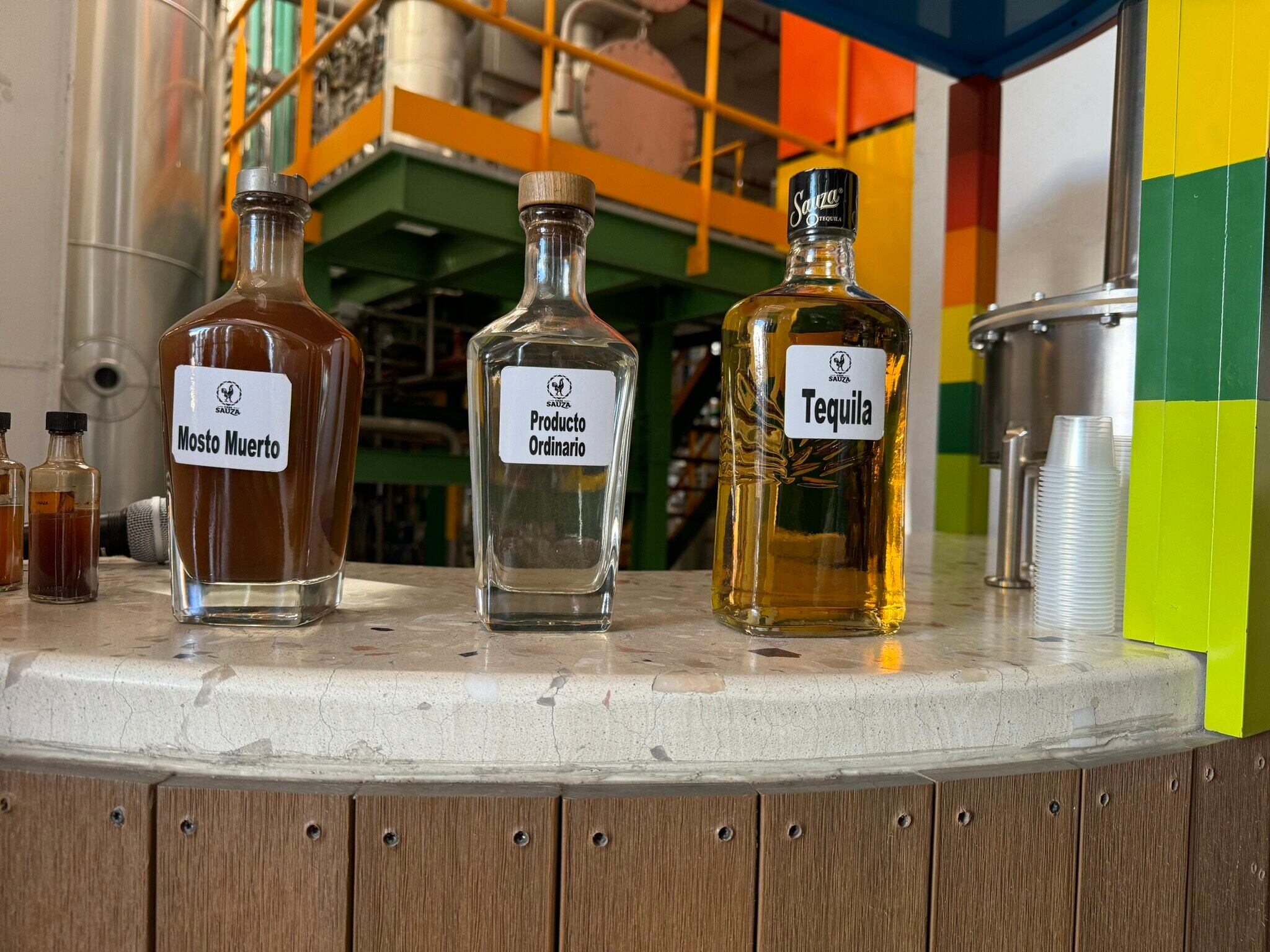 Planta con pinta de peligrosa es la minita de oro del tequila mexicano.