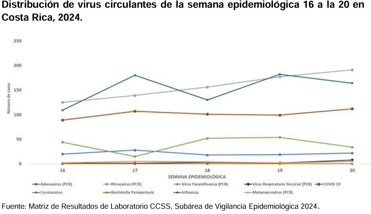 Esta es la circulación de los virus respiratorios en Costa Rica.
Gráfico: Ministerio de Salud