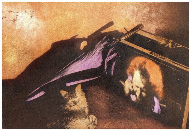 Serie Mujeres, gatos y televisores, Goma bicromatada al óleo, 1983.
La artista la retoma y se especializa en la técnica pictorialista de la goma bicromatada. En esta serie