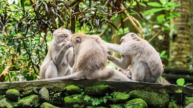 La columna de Irene Vallejo: Cómo consolar (y por qué casi siempre lo hacemos mal)