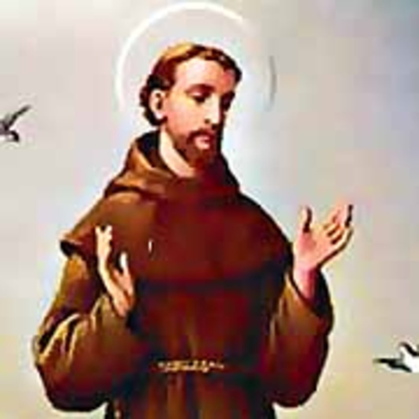 Día histórico: San Francisco de Asís | La Nación