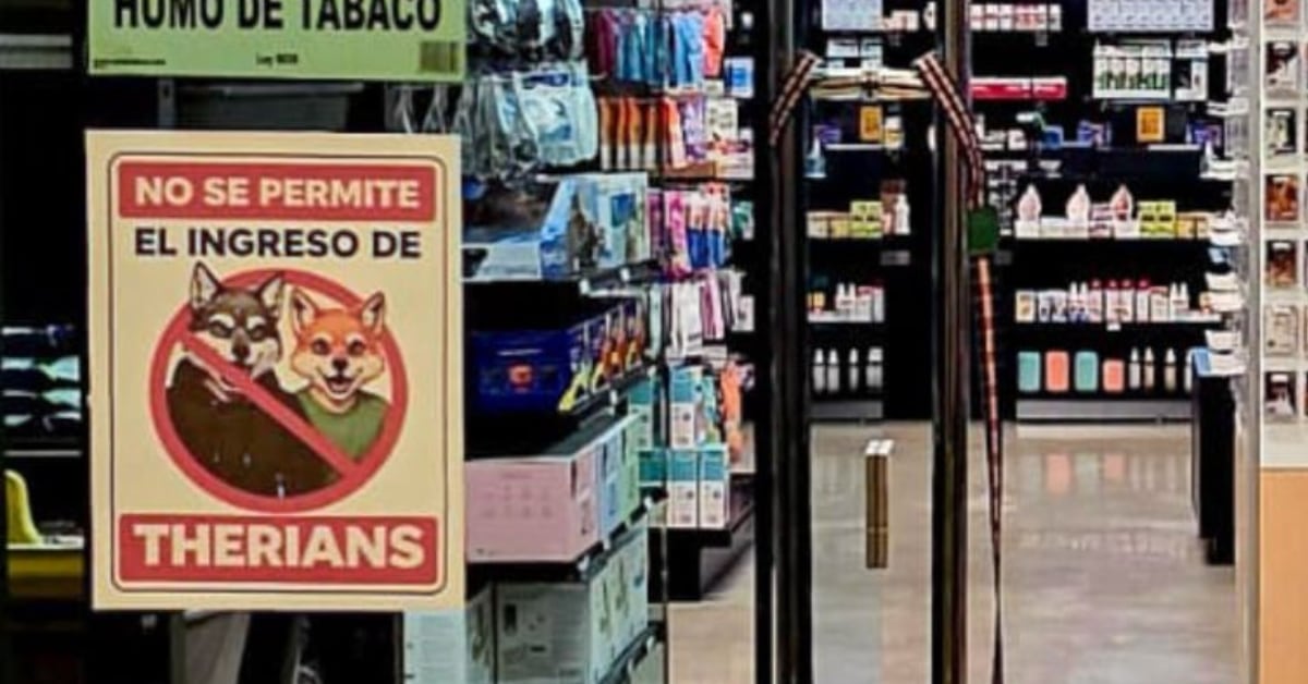 Bryan González, dueño de una empresa que vende productos de mascotas, indicó que teme que estas personas entren con máscaras.