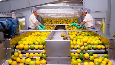 Diferendo sobre plan para salvar a TicoFrut pone en riesgo 5.300 empleos en zona norte