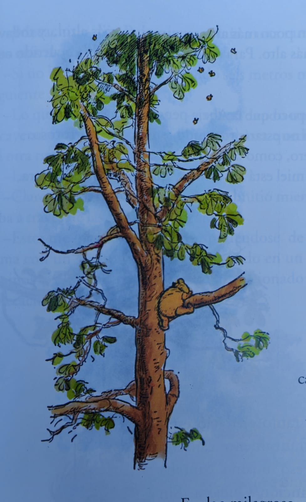 Las ilustraciones de E. H. Shepard acompañaron a Winnie-the-Pooh desde el inicio.