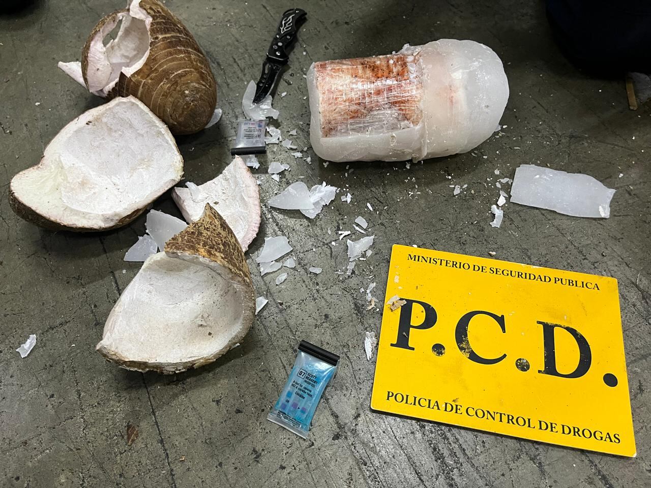 Cargamento de cocaína en malanga falsa decomisado en la Terminal de Contenedores de Moín (TCM).