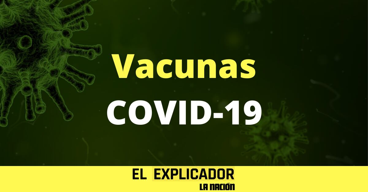 El Explicador - Vacuna del coronavirus: ocho están en fase III; se espera que algunas estén listas en 2020