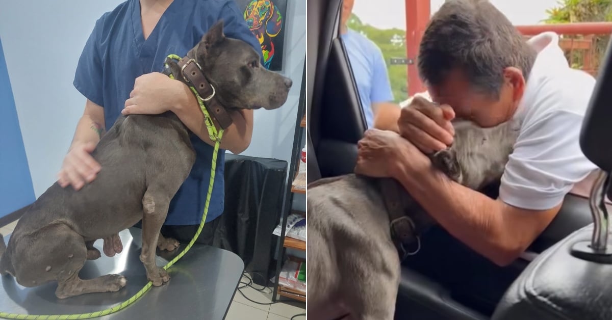 Lucas desapareció en Sabanilla de Alajuela y fue encontrado un mes después en Grecia.