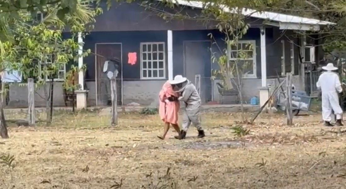 Un adulto cuya identidad se desconoce, fue atendido por paramédicos de bomberos tras sufrir picaduras de abejas en Nicoya, Guanacaste.