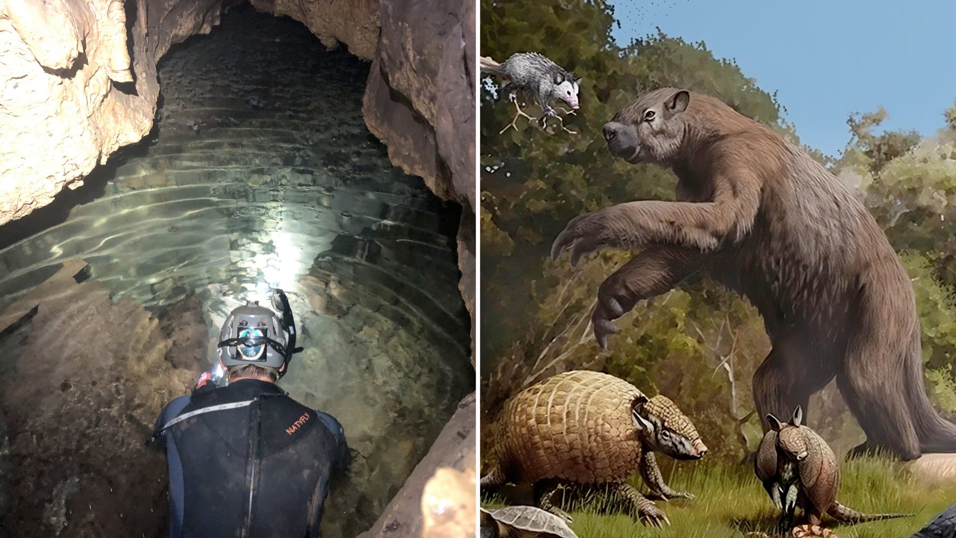 Una cueva en Texas reveló fósiles de la Era del Hielo, con especies como tortugas gigantes, pampaterios y depredadores antiguos.