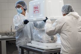 ‘Guardián del Aconcagua’: la momia del niño inca sacrificado hace 500 años inició su regreso a la montaña sagrada