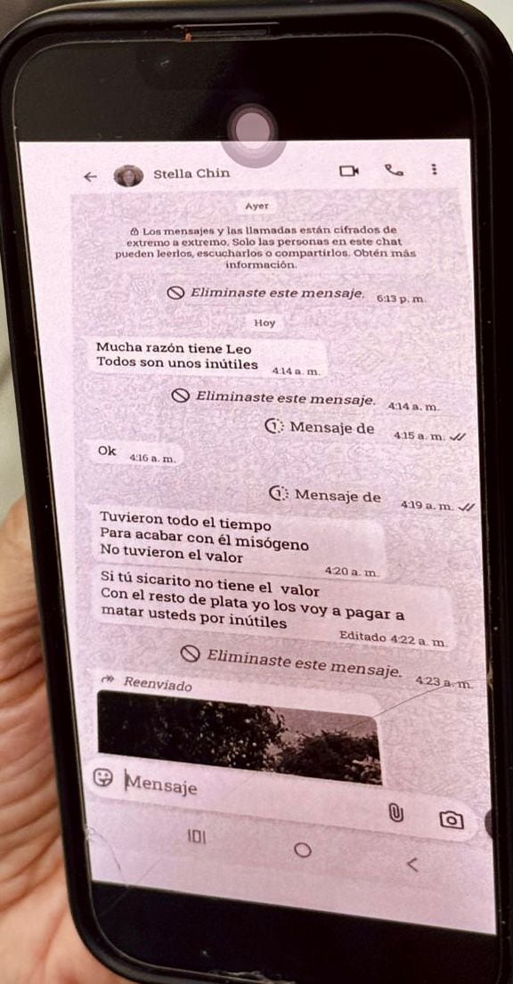 Estos son los pantallazos aportados en el expediente donde se denuncia un presunto plan para atentar contra el presidente Rodrigo Chaves. La señalada es la activista Stella Chinchilla.
