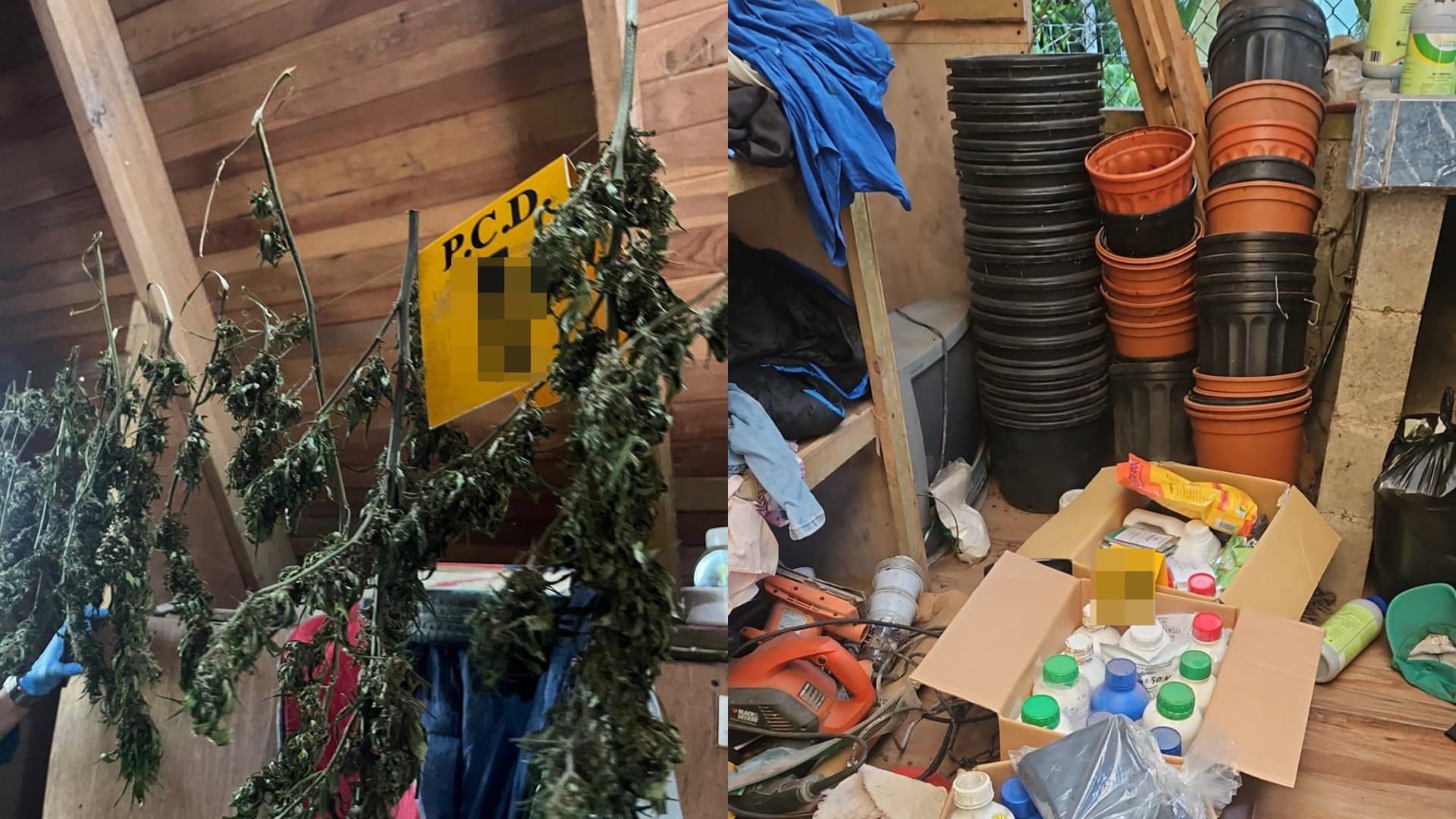 Durante los operativos se decomisaron distintas drogas, dinero en efectivo y armas, además de detener a seis sospechosos.